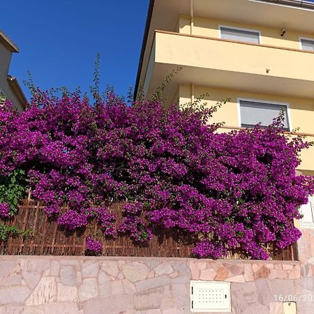 אולמדו Bouganville מראה חיצוני תמונה